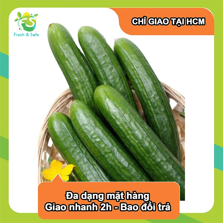 Dưa leo Nhật - 500gr