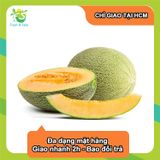  Dưa lưới Đài loan (dài) - 1.5kg 