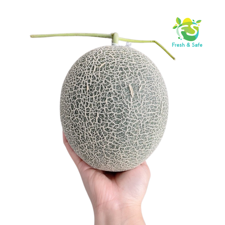 Dưa lưới mật - Trái 1.5kg
