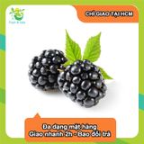  Phúc bồn tử (mâm xôi) Blackberry - Hộp 170gr 