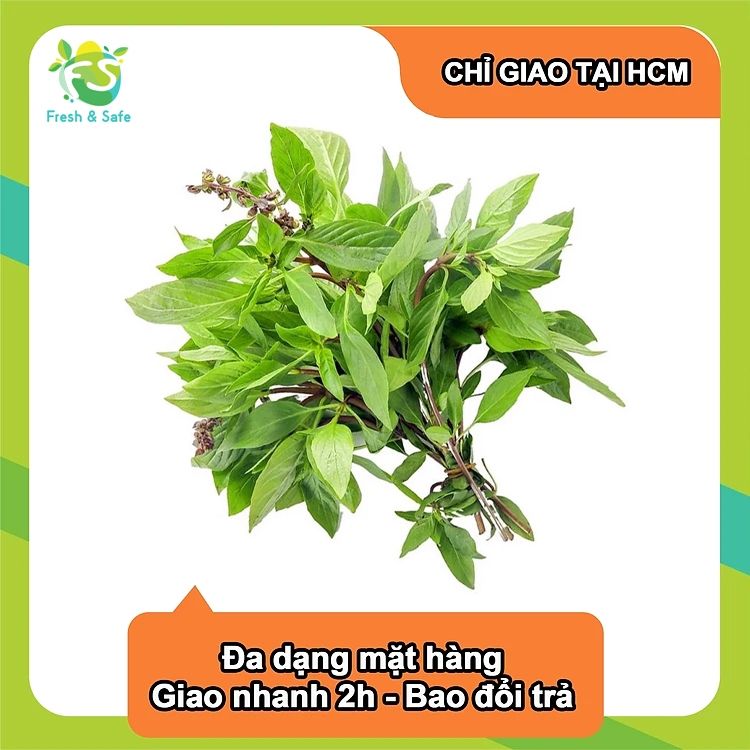 Húng Quế - 100g