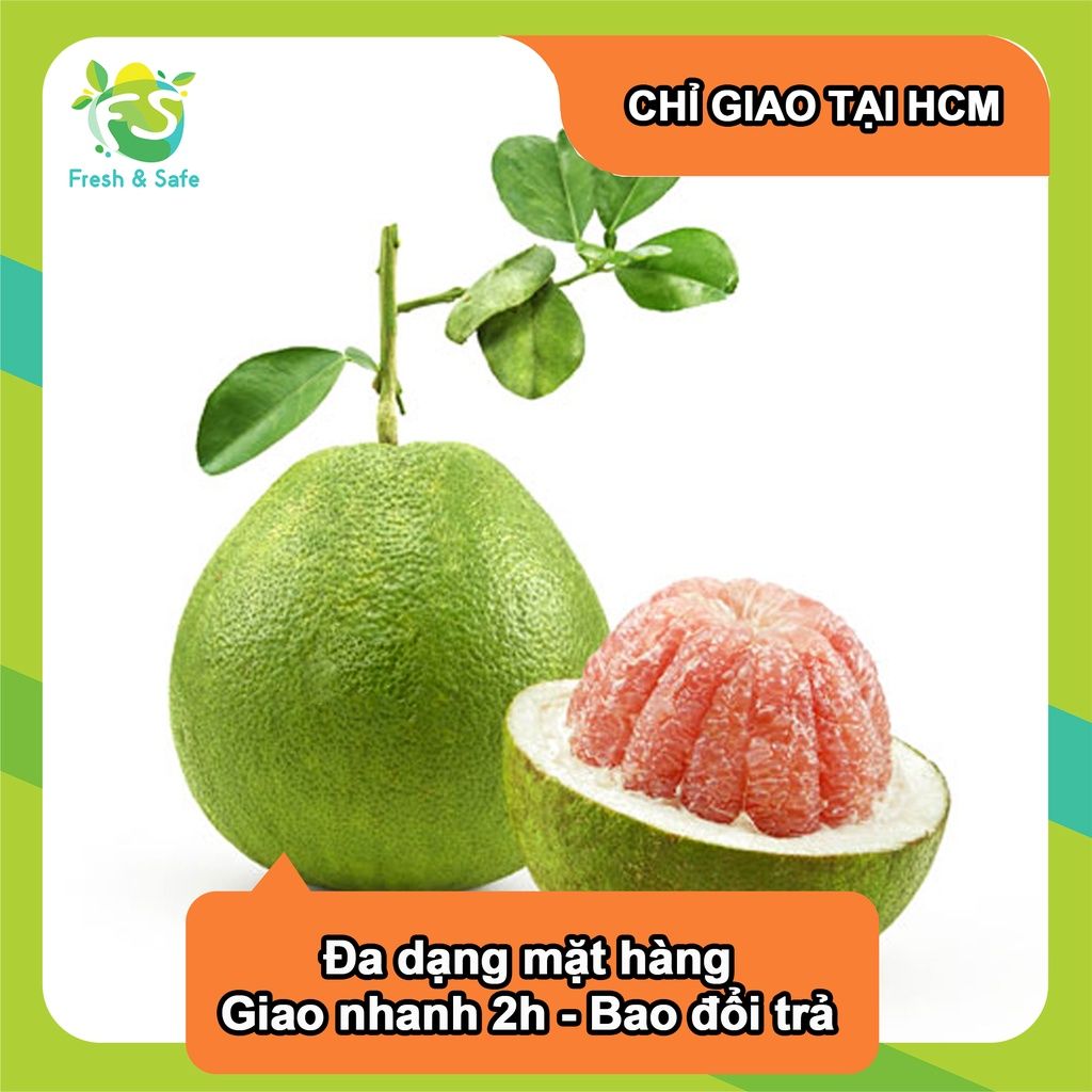  [Chỉ Giao HCM] Bưởi Da Xanh - trái 1.5kg 