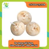  [Chỉ Giao HCM] Dừa Gọt Tiện Lợi - Combo 3 trái 