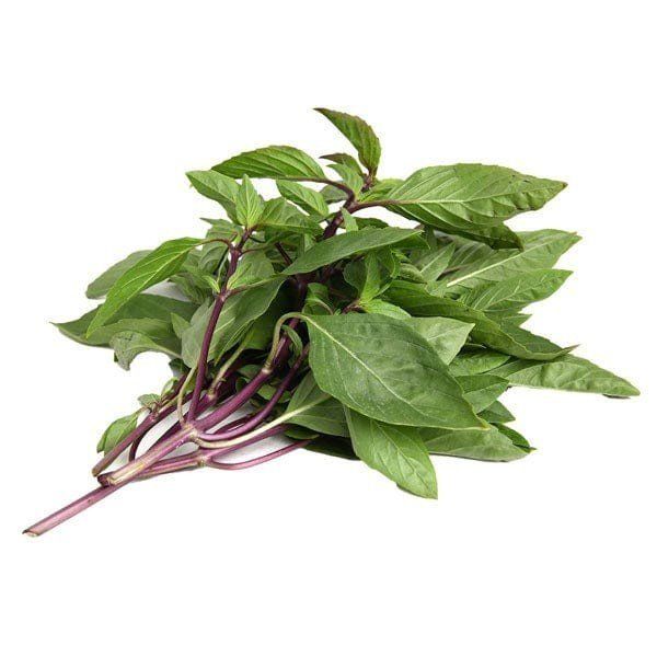 Húng Quế - 100g