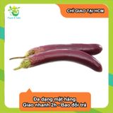  [Chỉ Giao HCM] Cà Tím - 500g 