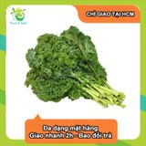  [Chỉ Giao HCM] Cải Xoăn Kale - 500g 