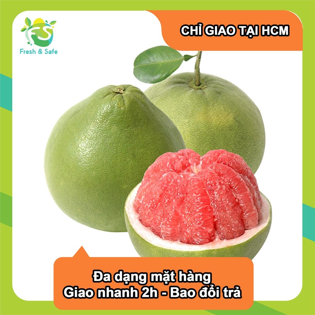  [Chỉ Giao HCM] Bưởi Da Xanh - trái 1.5kg 