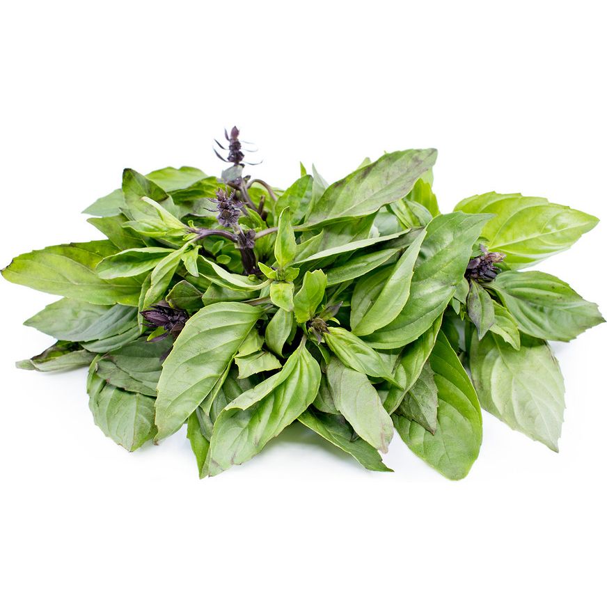 Húng Quế - 100g