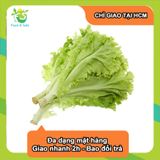  [Chỉ Giao HCM] Xà Lách Lolo Xanh - 300g 