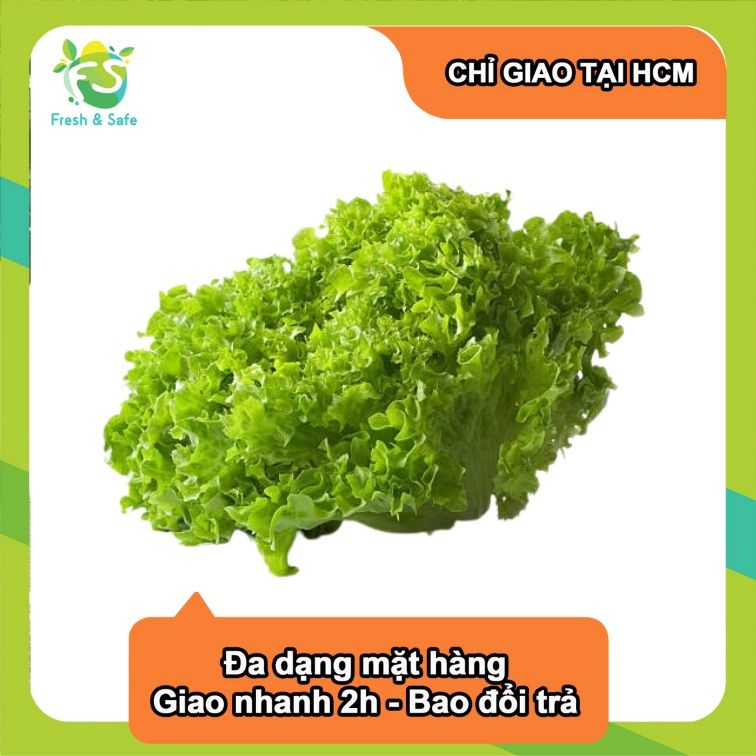  [Chỉ Giao HCM] Xà Lách Lolo Xanh - 300g 