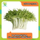  [Chỉ Giao HCM] Cải Mầm - 100g 