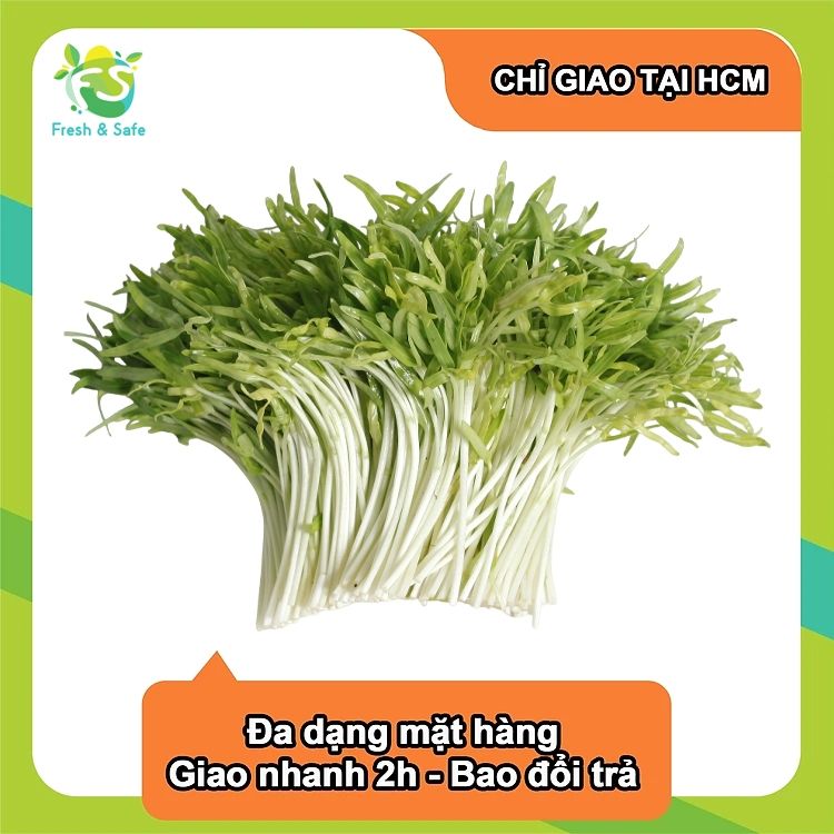  [Chỉ Giao HCM] Cải Mầm - 100g 