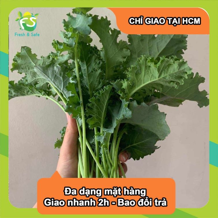  [Chỉ Giao HCM] Cải Xoăn Kale - 500g 