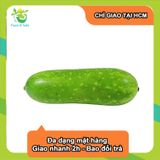  [Chỉ Giao HCM] Bí Đao - 500g 