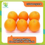  [Chỉ Giao HCM] Cam Vàng Nam Phi/Ai Cập - 1kg 