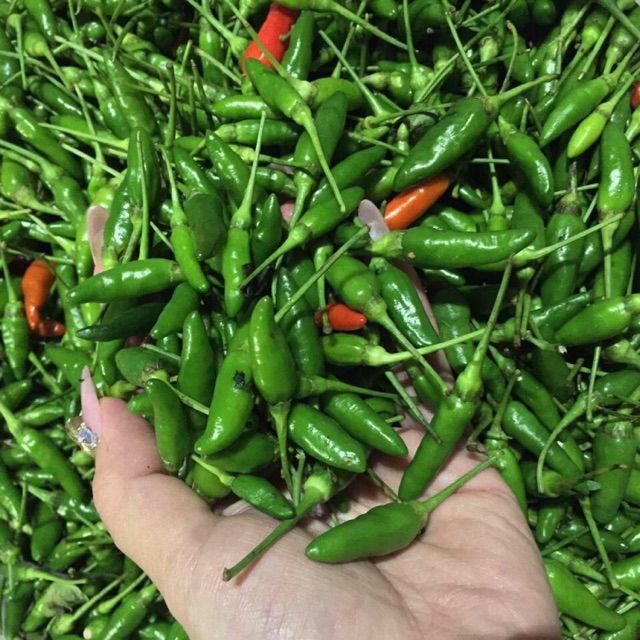 Ớt Xiêm Xanh - 30gr