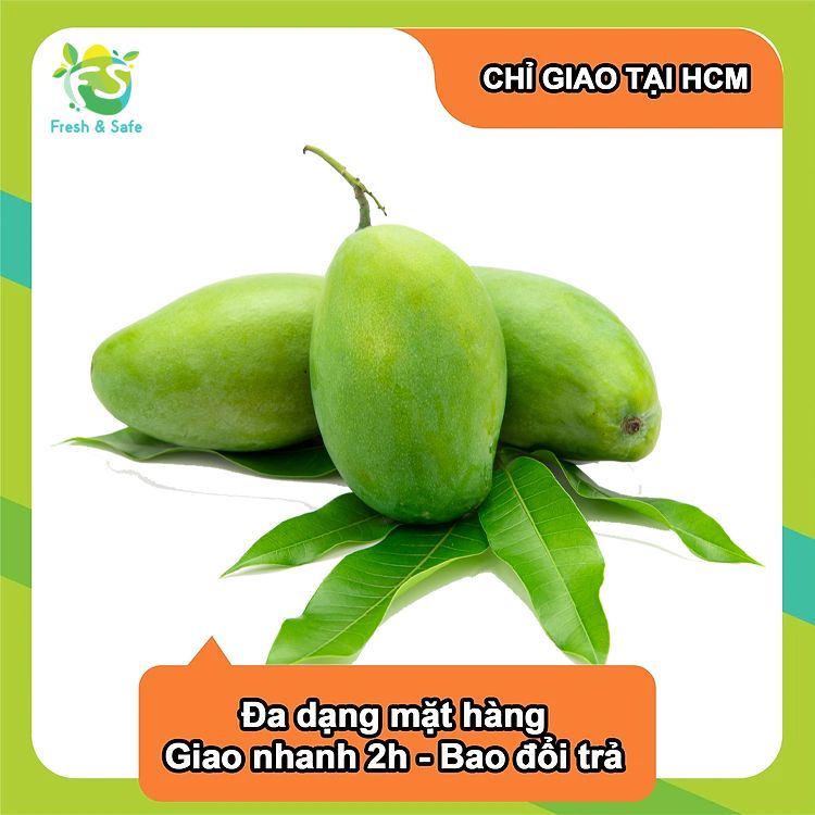 Xoài xanh Tứ Quý - 1kg