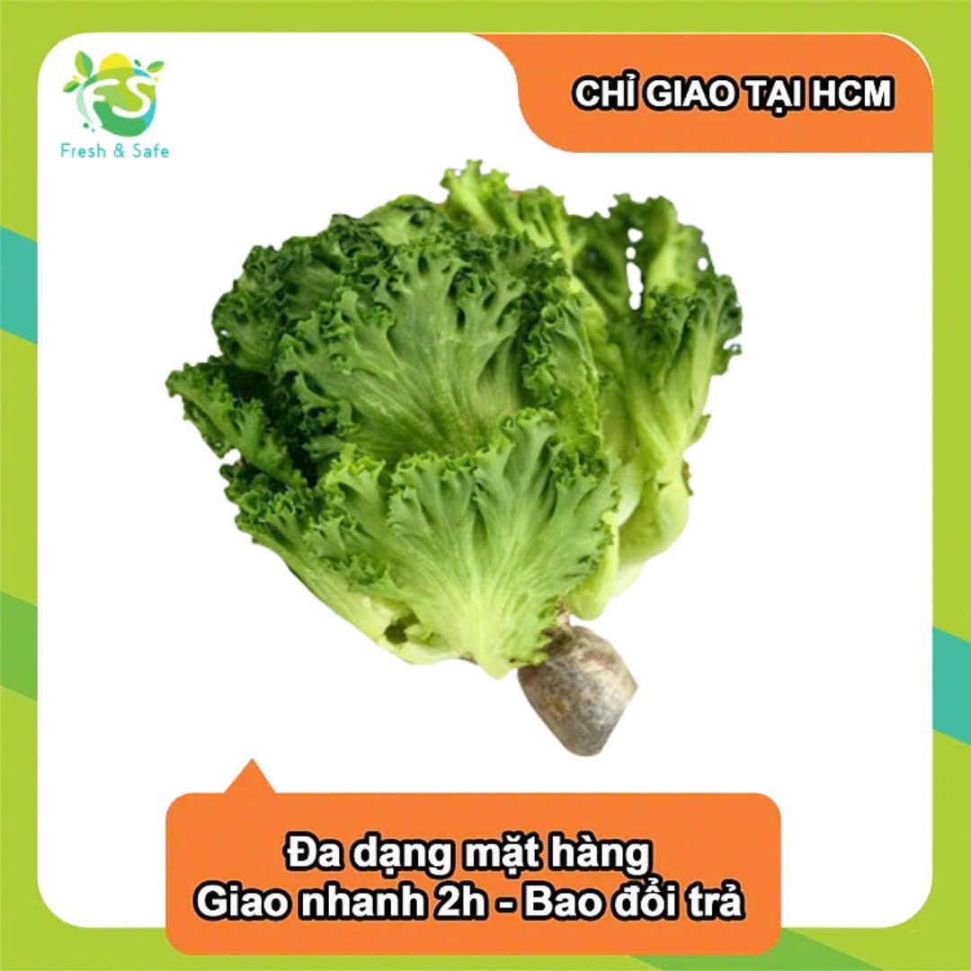 Xà lách xoăn thủy canh - 300g