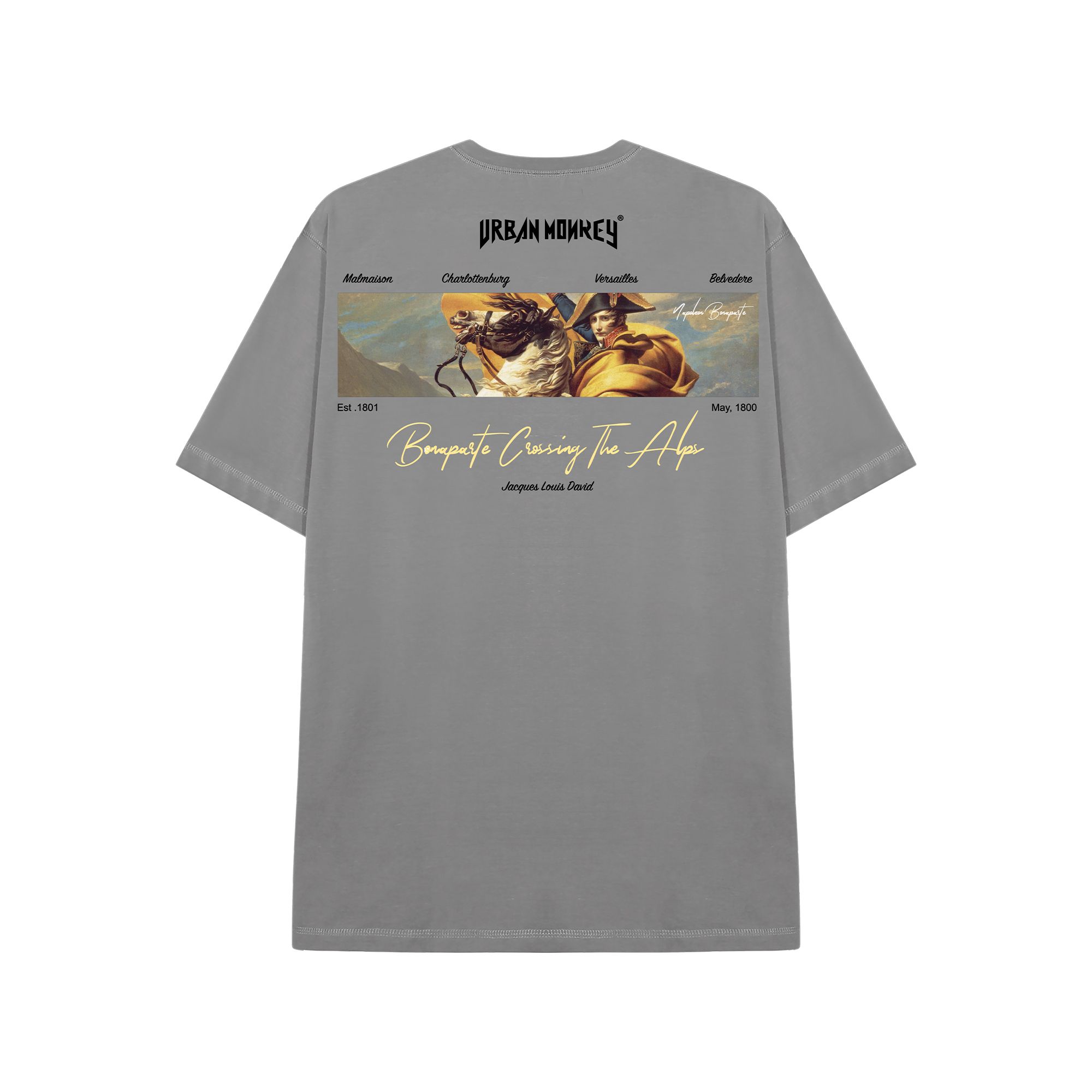NAPOLEON TEE GREY 4.0