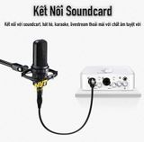 Dây Canon Đực Cái Cắm Micro, Soundcard , Amply ... Cao Cấp NYT ATN101 - BH 12T Đổi Mới