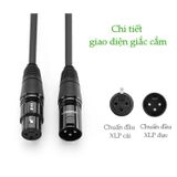 Dây Nối Dài MIC XLR ( Canon) UGreen AV130 - Hifi Audio BH 18T Chính Hãng