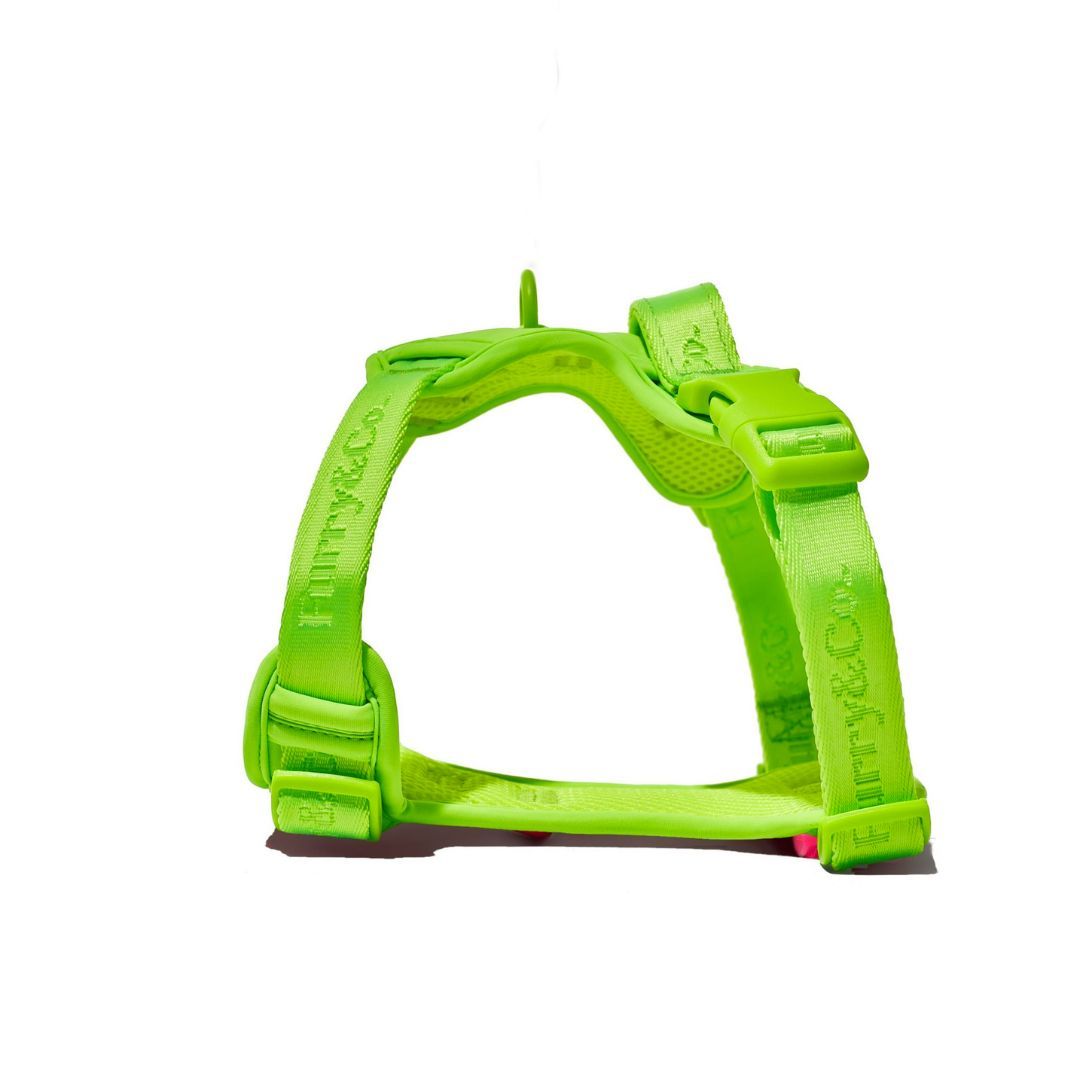Gói Phụ Kiện Yếm Dắt Chó ULTRA - LIMELIGHT