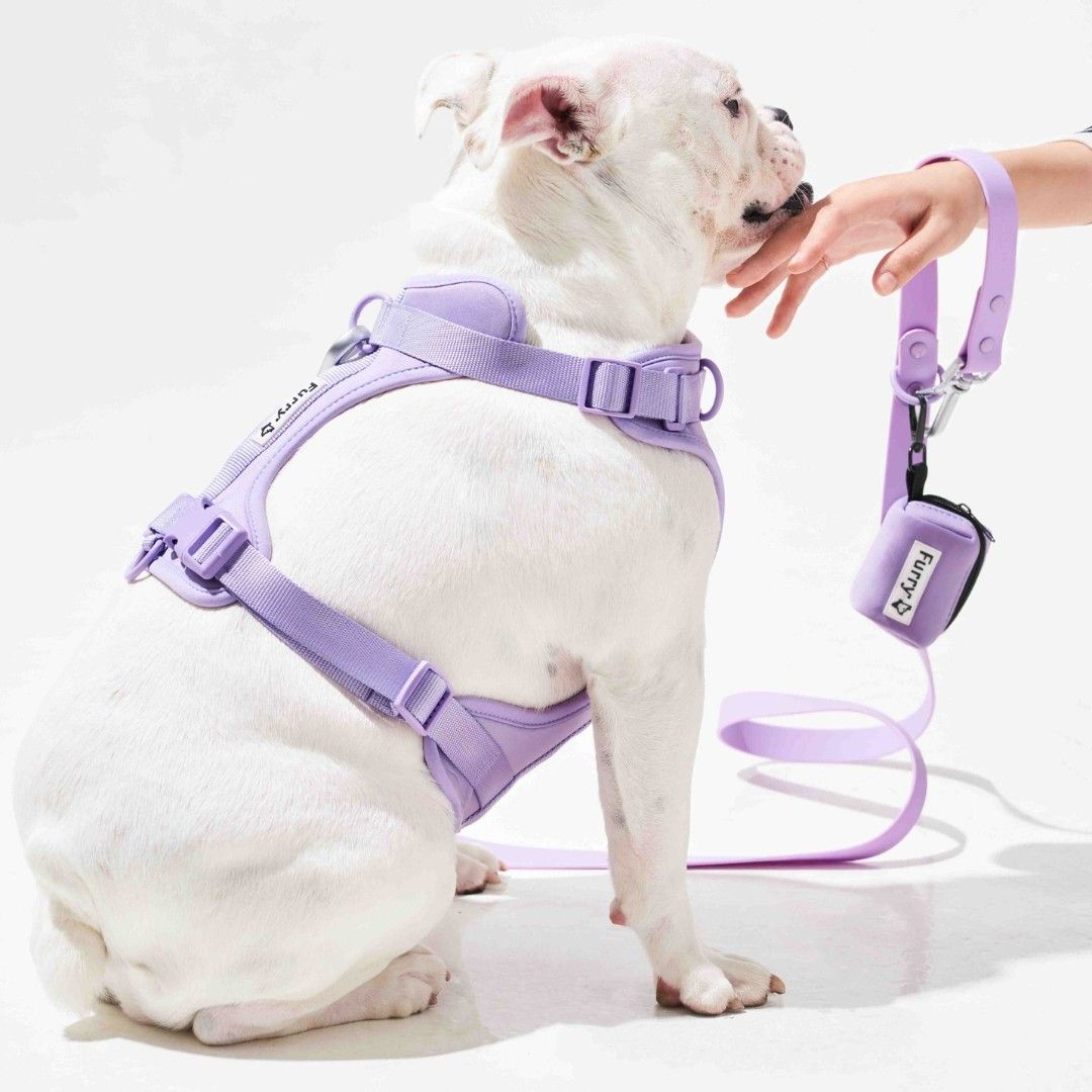 Gói Phụ Kiện Yếm Dắt Lilac