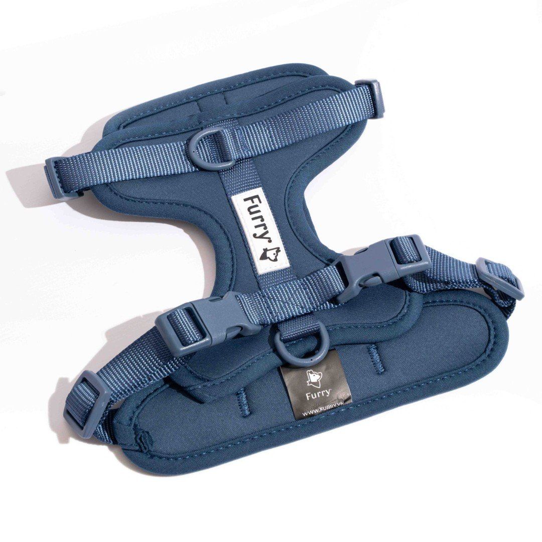 Yếm Dắt Tiện Lợi Indigo Blue