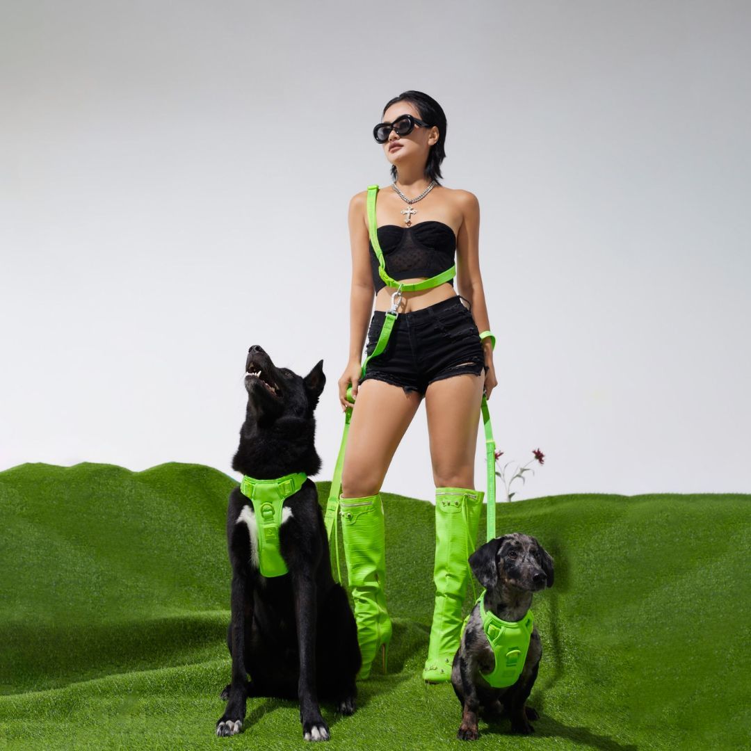 Dây Đeo Có Thể Điều Chỉnh ULTRA - LIMELIGHT