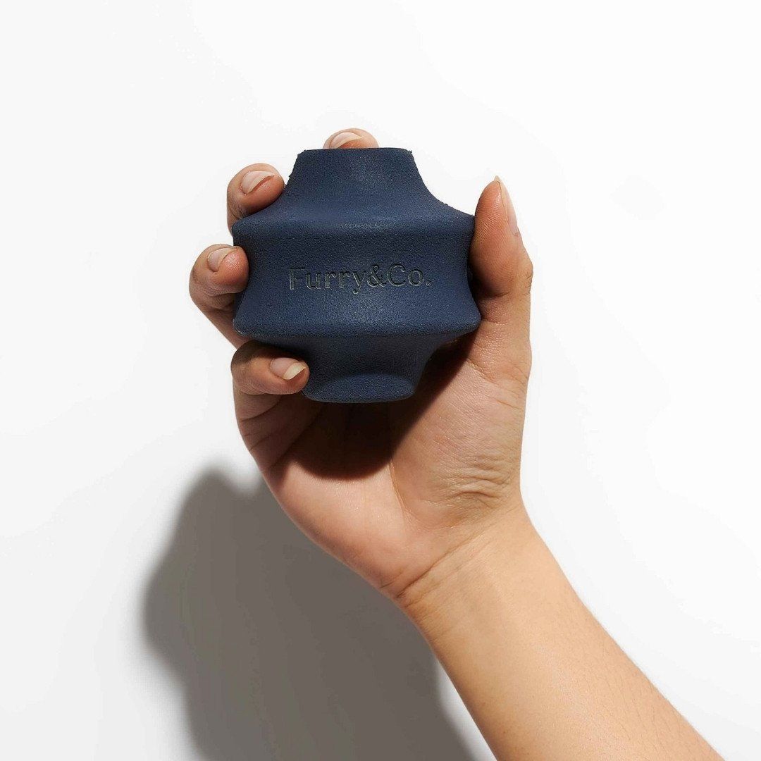 Đồ chơi ném lăn cho cún cưng - CON LĂN INDIGO