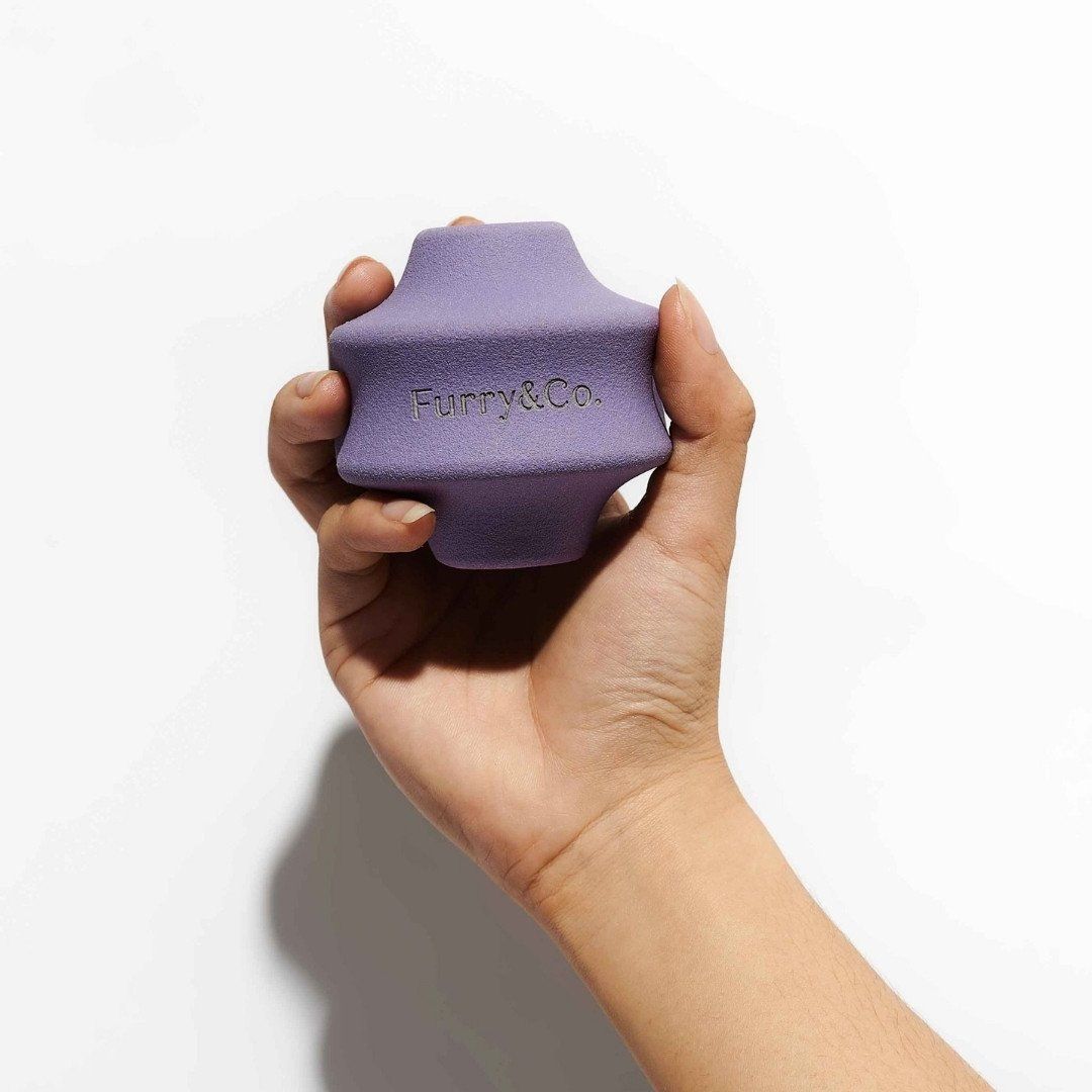 Đồ chơi ném lăn cho cún cưng - CON LĂN LILAC