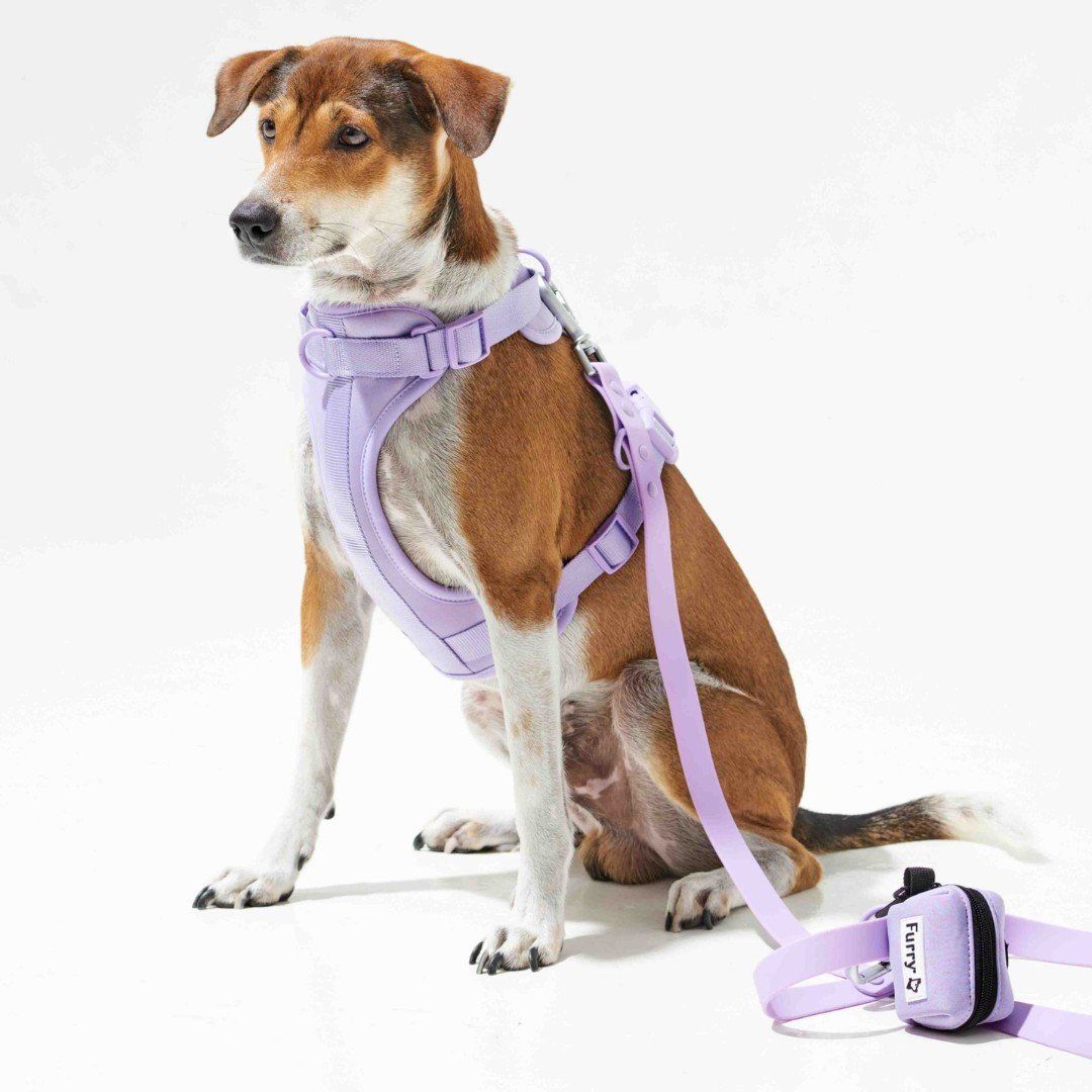 Yếm Dắt Tiện Lợi Lilac
