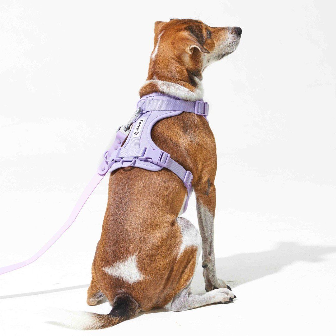Yếm Dắt Tiện Lợi Lilac