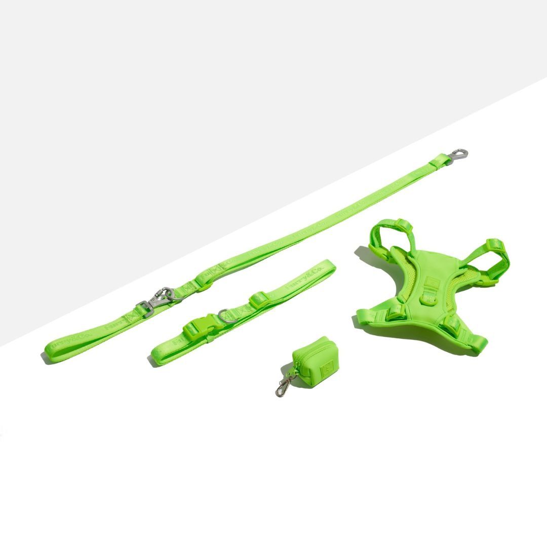 Gói Phụ Kiện Yếm Dắt Chó ULTRA - LIMELIGHT