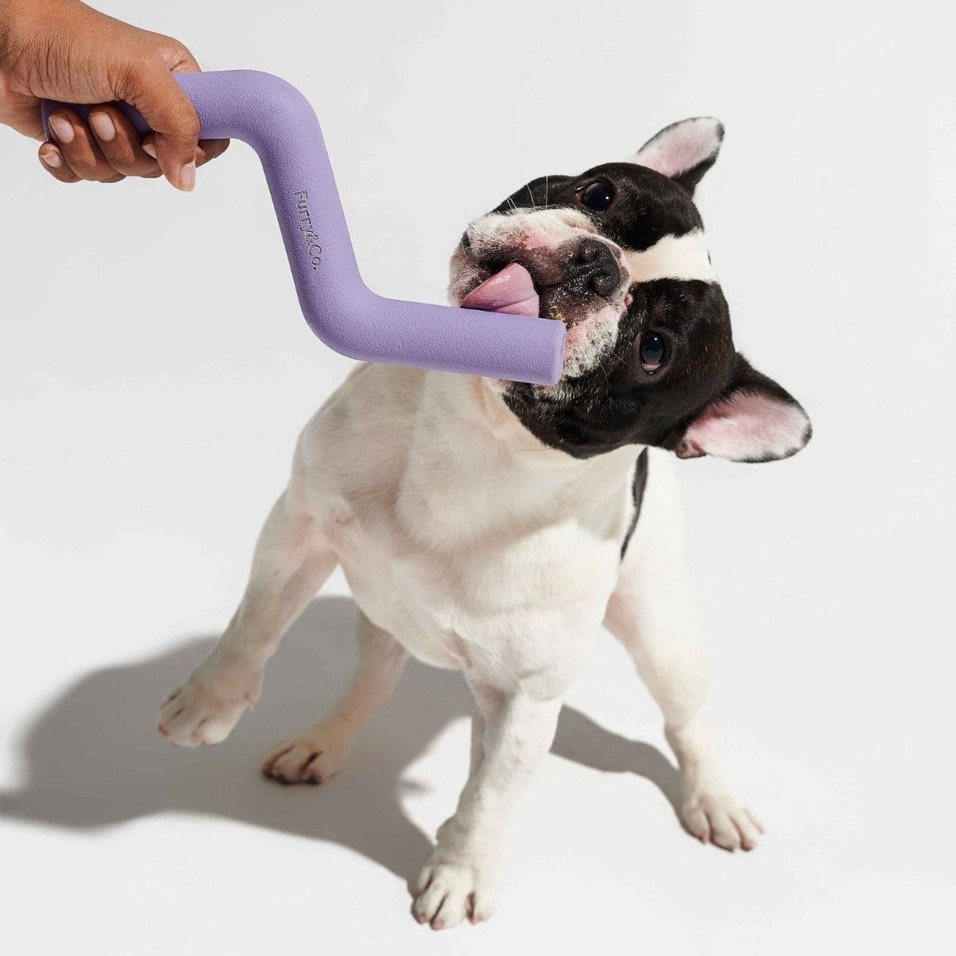 Đồ chơi nhai gặm cho cún cưng - TIA CHỚP LILAC