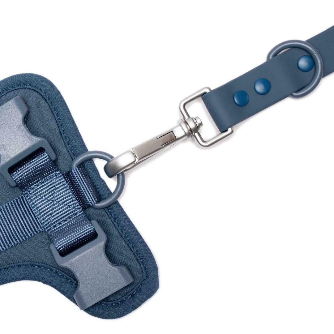 Dây Dắt Tiện Lợi Indigo Blue