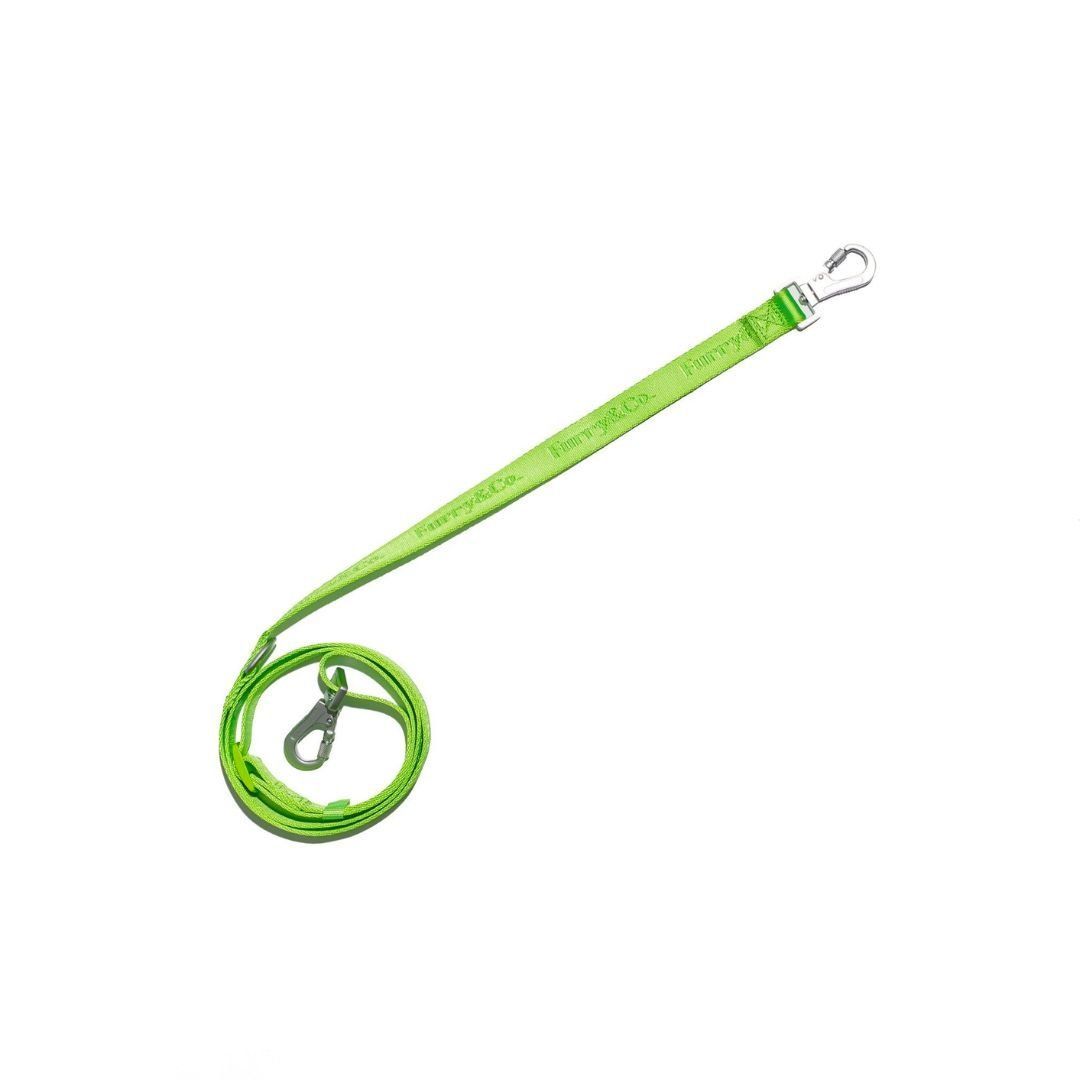 Dây Dắt Chó Tiện Lợi ULTRA - LIMELIGHT