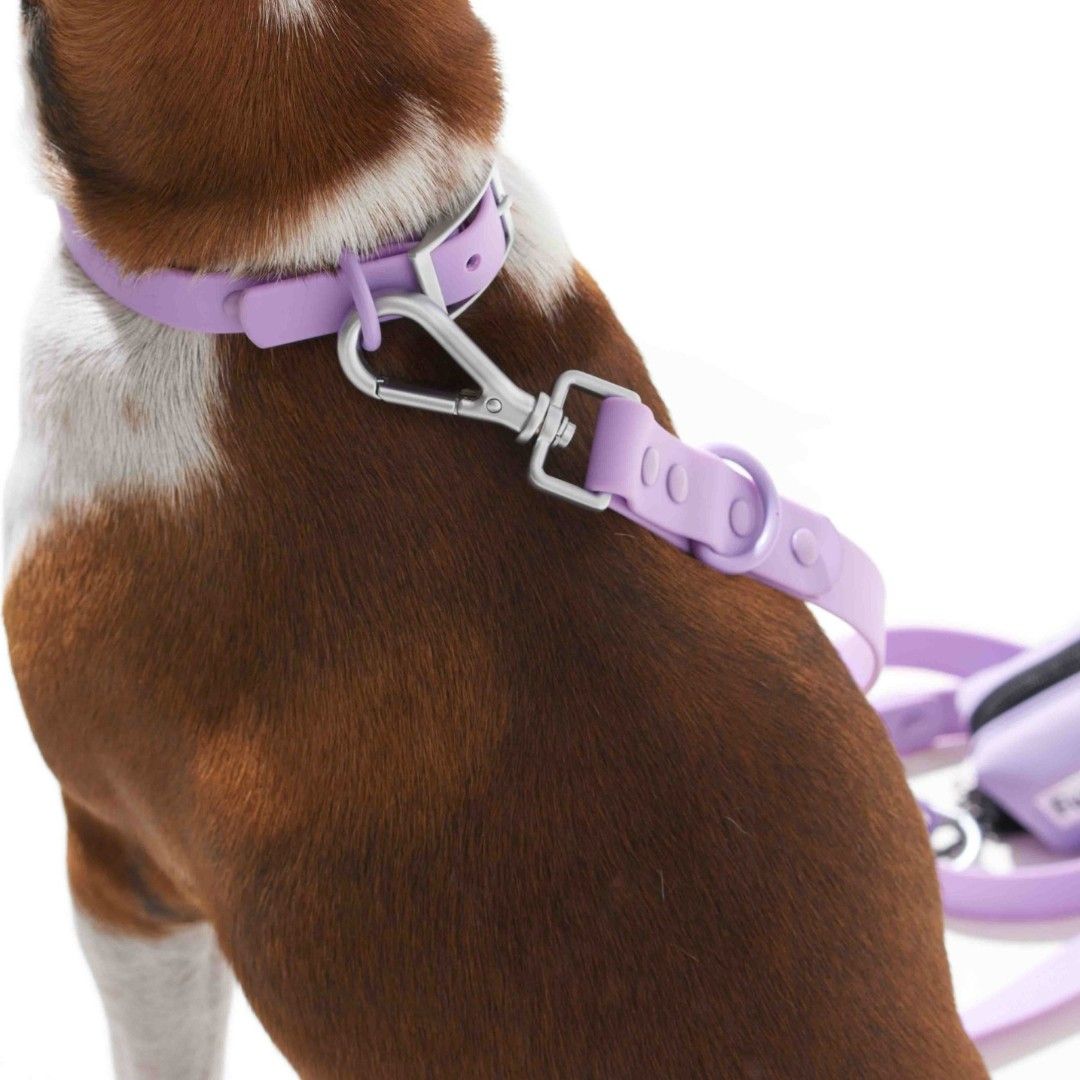 Gói Phụ Kiện Vòng Cổ Lilac