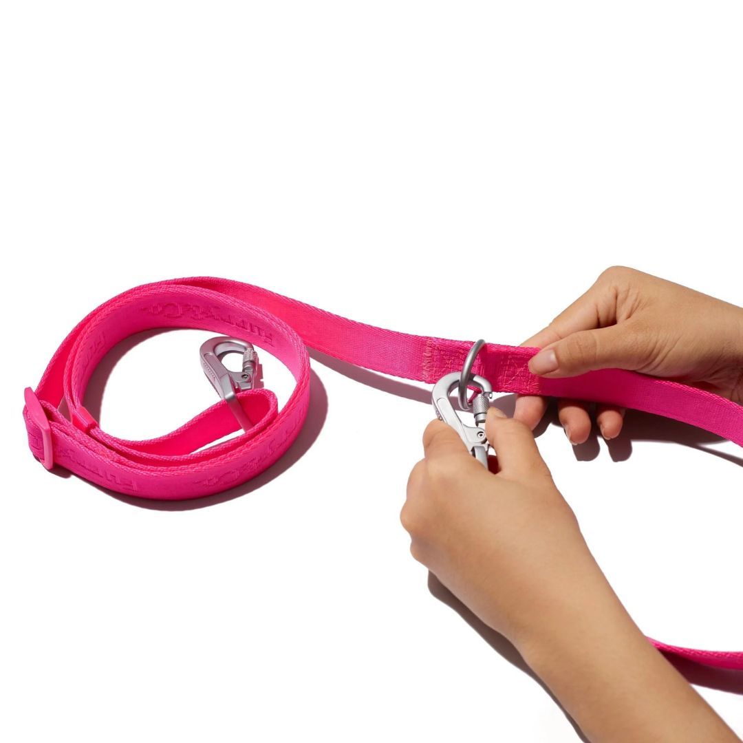 Gói Phụ Kiện Yếm Dắt Chó ULTRA - ELECTRA