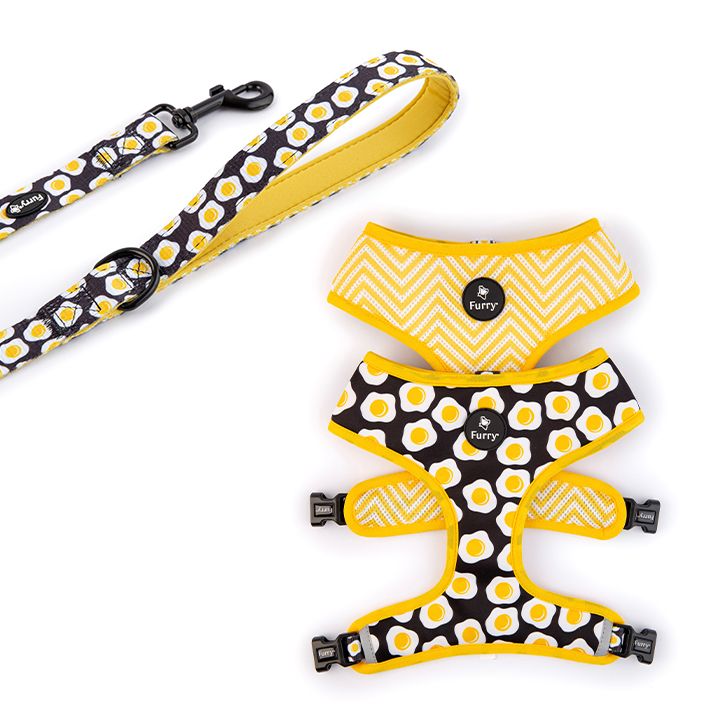 Gói Sản Phẩm Yếm Dắt Dai Mặt + Dây Dắt Sunny Side Up