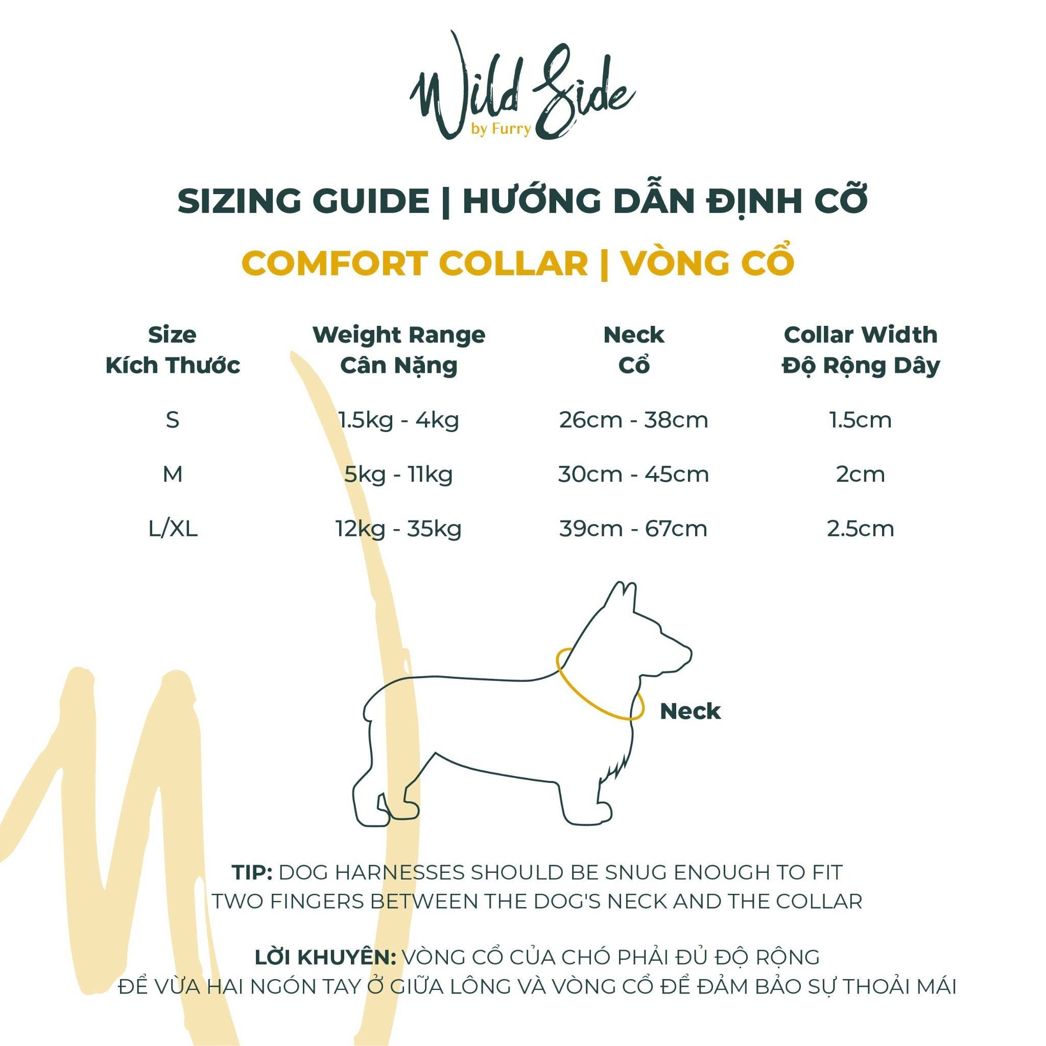 Vòng cổ RAINING RAINBOWS