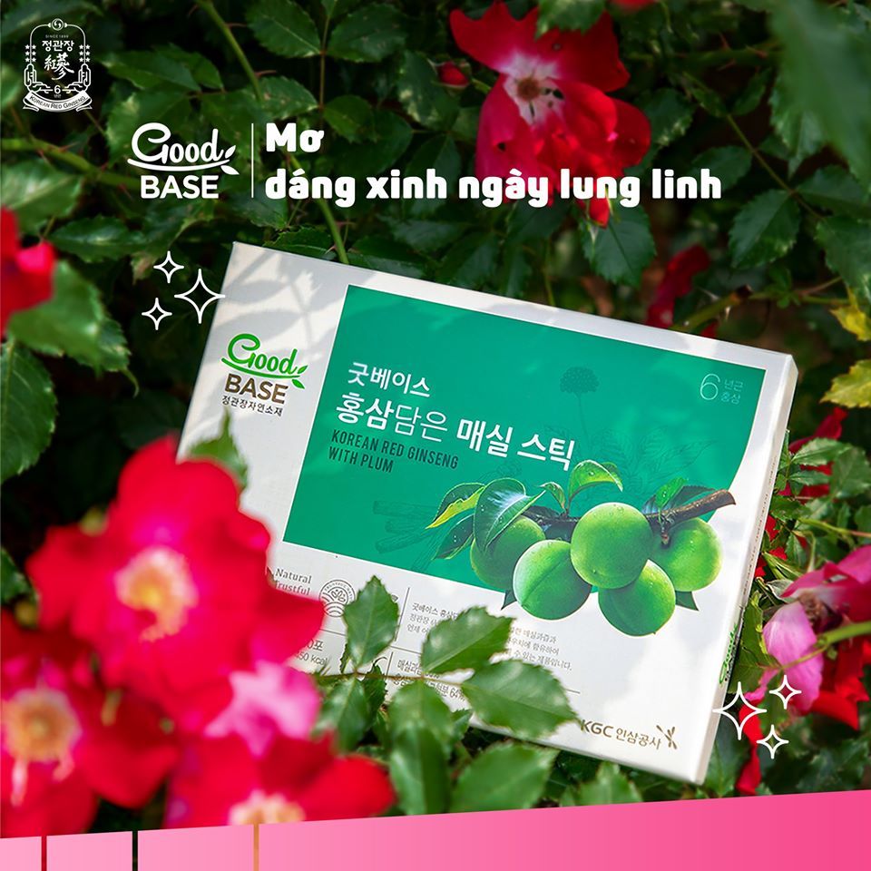  [10ml] Hồng Sâm & Mơ Xanh GOOD BASE (10ml x 30 gói) 