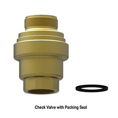 Check valve 50A