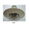 Flush Pendent Sprinkler