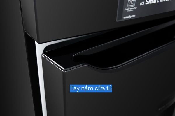 Tủ lạnh LG Inverter 315 Lít GN-D315BL