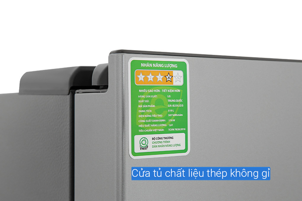 Tủ lạnh LG Inverter 519 Lít GR-B256JDS