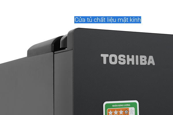 Tủ lạnh Toshiba Inverter 515 Lít GR-RF669WI-PGV(A9)-BG