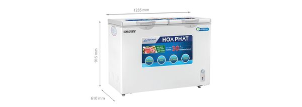 Tủ đông Hòa Phát Inverter 245 Lít HCFI 606S2Đ2 (HPF BD8245)