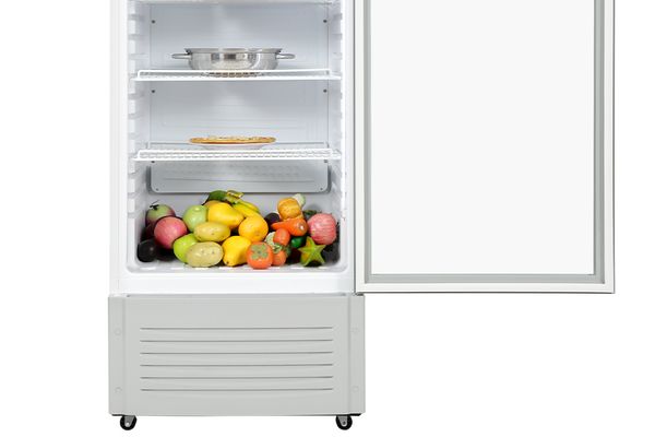 Tủ mát Hòa Phát 280 Lít HSC 700F1R1