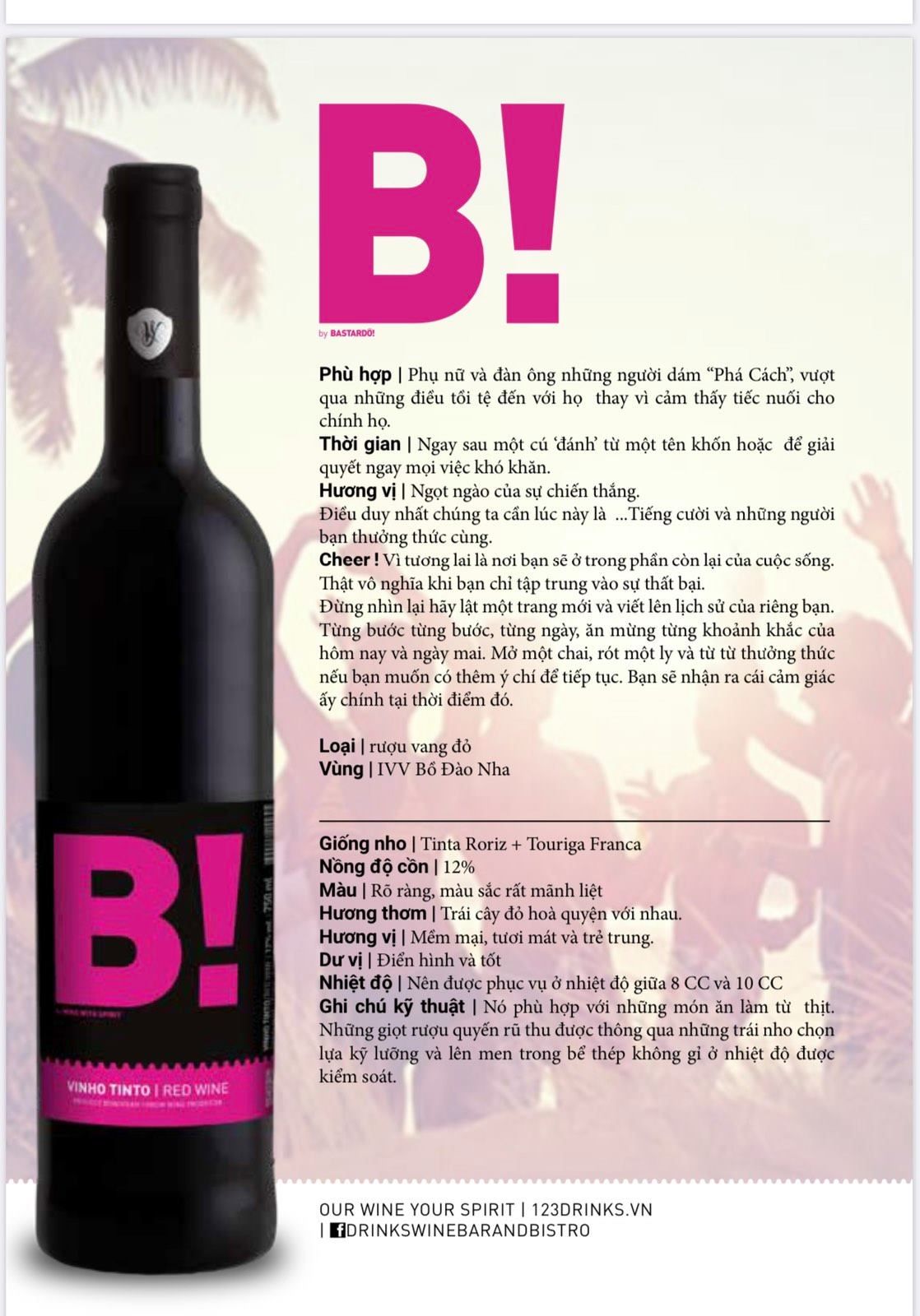 Rượu Vang Ngoại B! Red Wine